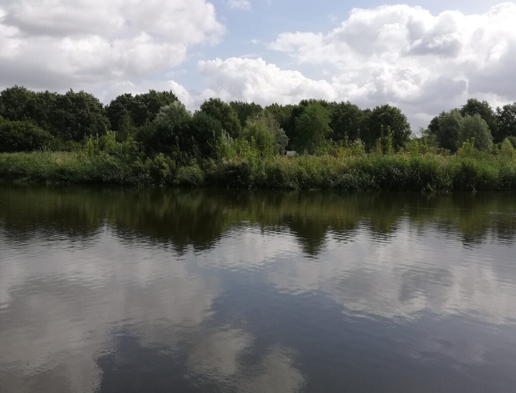 W turkusowej sadzawce wśród chmur,
